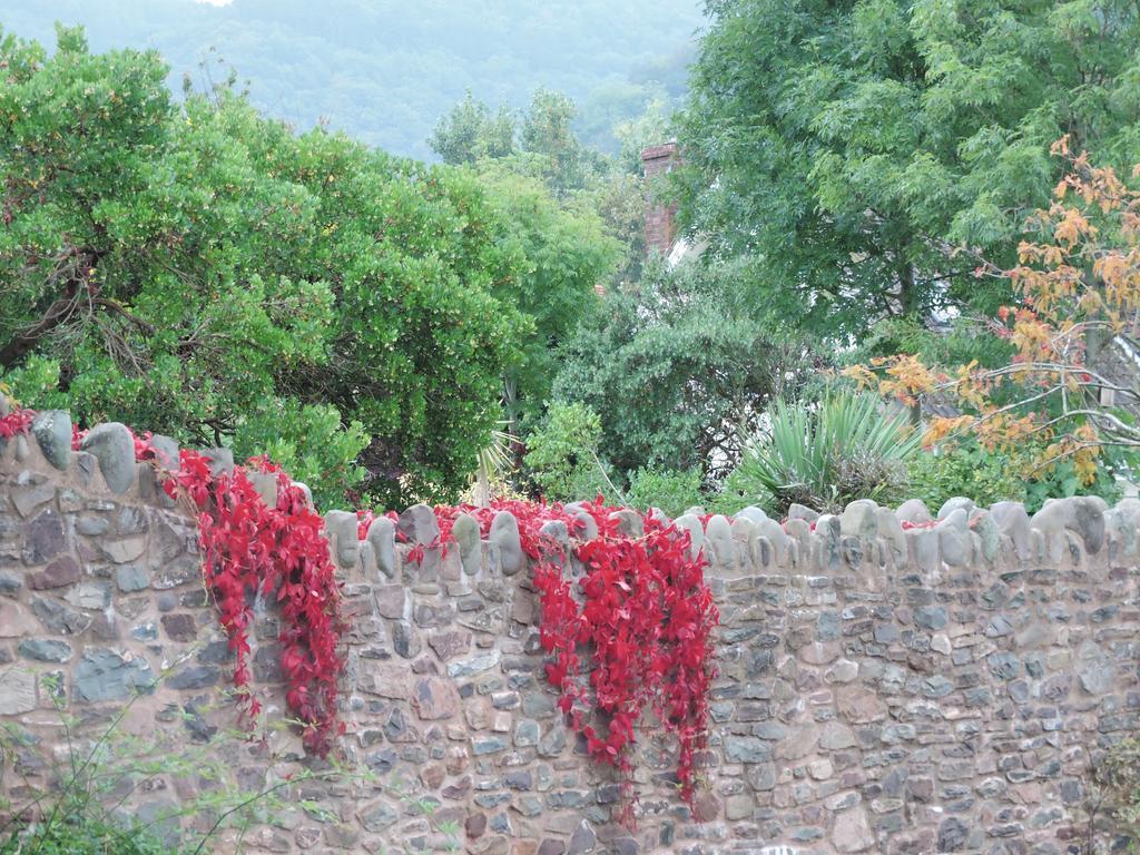 The Gables Porlock Quarto foto